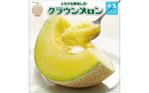＜通年出荷＞クラウンメロン(小玉) 2玉詰【1486520】 2068164 - 静岡県掛川市