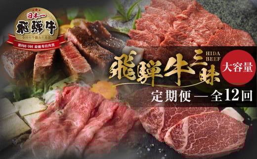 《まるごと定期便》12回 飛騨牛三昧 大容量 お届け  肉 牛肉 すき焼き ステーキ 切り落とし 焼肉 バラエティ 定期便 50万 500000円 [S600]