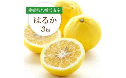 ＜2026年2月以降発送＞すっきり甘い!愛媛県八幡浜市産はるか 3kg＜C25-204＞【1612464】