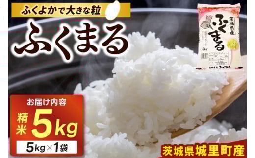 精米 5kg ふくまる お米 米 ご飯【令和6年産】城里町 桂農産 フクマル【配送不可地域：離島】 (AX006) 698118 - 茨城県城里町