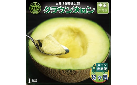＜毎月定期便＞クラウンメロン(白等級) 中玉1玉 全12回【4012656】 2068215 - 静岡県掛川市