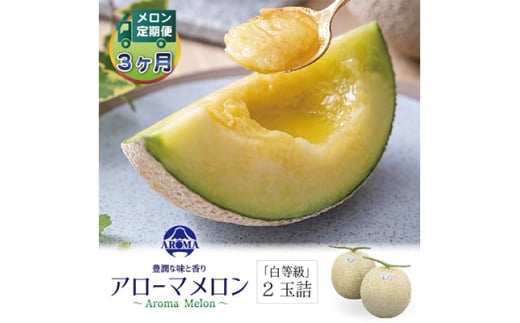 ＜毎月定期便＞アローマメロン(白等級) 2玉 全3回【4013005】 2068227 - 静岡県掛川市