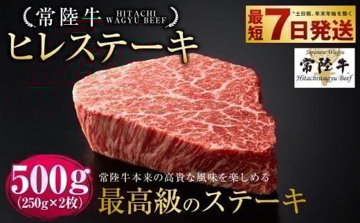 【常陸牛】ヒレステーキ 250g×2枚 | 計500g 牛肉 肉 お肉 ヒレ ステーキ 冷凍 茨城県 守谷市 2038805 - 茨城県守谷市