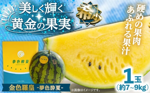 【先行予約・7月以降順次発送】夢色酔夏（金色羅皇）1玉 7~9kg 日田市 / JAおおいた　 [AREW003] 2045970 - 大分県日田市