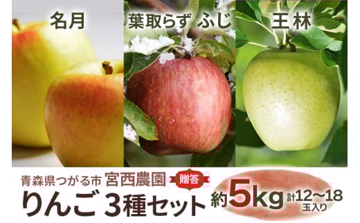 [贈答] 名月×葉取らずふじ×王林【約5kg 計12から18玉】贅沢りんご 3種セット｜令和7年 2025年 ギフト 青森産 津軽 つがる りんご リンゴ 果物 フルーツ めいげつ フジ おうりん [0687] 1429608 - 青森県つがる市