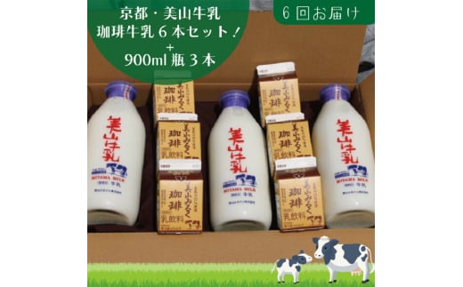 [№5334-0095]牛乳 定期便 6ヶ月 京都 美山牛乳 瓶 900ml ×3本 珈琲牛乳 200ml ×6本 詰め合わせ セット 美山町 お取り寄せ コーヒー牛乳 パック 定期 お楽しみ 6回 ※北海道・沖縄・離島への発送不可  2067808 - 京都府南丹市