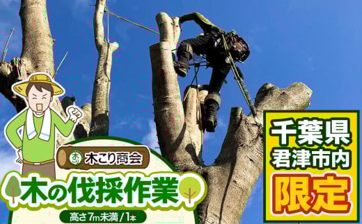 君津市 木の伐採作業(高さ7m未満1本) 木こり商会 | サービス サービス券 伐採 伐採作業 代行サービス 千葉県 君津市 きみつ 552045 - 千葉県君津市