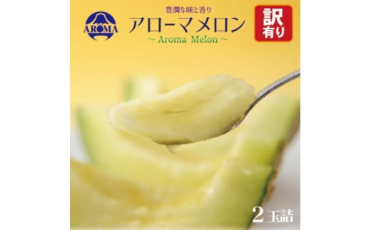 ＜訳あり＞アローマメロン 2玉入＜通年出荷＞【1170118】 2068159 - 静岡県掛川市