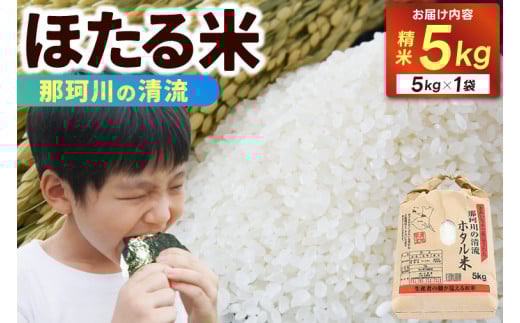 精米 5kg ほたる米【令和6年産】お米 米 ご飯 城里町 桂農産 ＼那珂川の清流ホタル米／【配送不可地域：離島】 (AX009) 698324 - 茨城県城里町