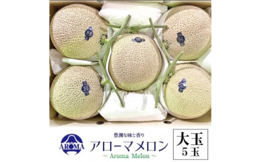＜通年出荷＞アローマメロン 白等級(大玉) 5玉入【1170112】 2068156 - 静岡県掛川市