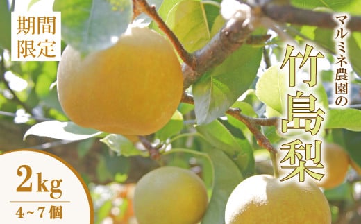 [ 数量限定 早期受付 ]マルミネ農園 の 竹島梨 2kg (4〜7個) 国産 高知 四万十市 四万十 しまんと 梨 ナシ 幸水 豊水 凛花 なし 果物 くだもの 新鮮 農園 フルーツ デザート おやつ ジューシー 旬 産地直送 お取り寄せ [2025年8月中旬〜9月下旬発送]25-547