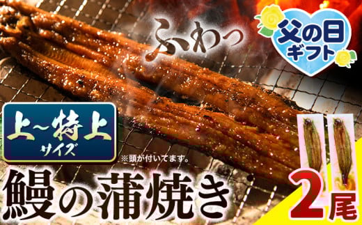 〈スピード出荷〉うなぎ 国産 鰻の蒲焼 2尾 上～特上サイズ 《3-7営業日以内に出荷(土日祝除く)》| うなぎ 蒲焼 国産 うなぎ 小分け うなぎ 国産 うなぎ 父の日 うなぎ 母の日ギフト うなぎ 簡易包装 送料無料 徳島県 上板町 1356666 - 徳島県上板町