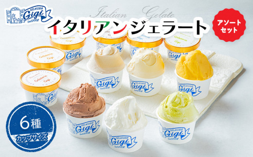 ジェラテリアGigiのイタリアンジェラート6種アソートセットカップサイズ