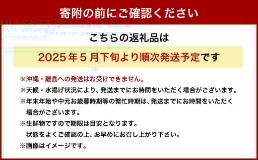 北海道小樽市 塩水キタムラサキ ウニ 100g×1パック 【漁師直送】