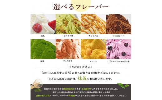 ジェラテリアGigiのイタリアンジェラート人気の味2種+選べる味の3種セット
