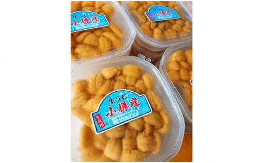 北海道小樽市 塩水キタムラサキウニ 100g×4パック 合計400g 【漁師直送】