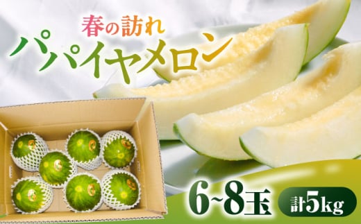 【2026年3月中旬～発送】パパイヤメロン 6〜8玉 約5kg / メロン めろん 果物 フルーツ / 南島原市 / うえだメロン園 [SAD008]