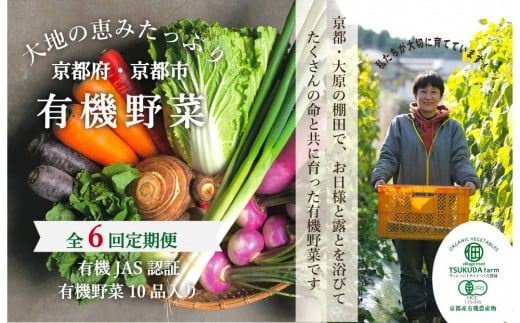 ◆全6回定期便◆【つくだ農園】《有機JAS認証 有機野菜10品入り》京都の棚田大原で心を込めて大切に露地栽培された大地の恵みたっぷりの有機野菜!［ 京都 有機野菜 定期便 セット 人気 おすすめ 有機栽培 おまかせ 詰め合わせ 産地直送 新鮮 ミシュラン お取り寄せ 通販 送料無料 ふるさと納税 ］ 2068887 - 京都府京都市