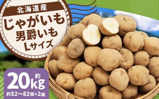じゃがいも 男爵 Lサイズ 約10kg×2箱 計約20kg （JA） ジャガイモ 芋 いも イモ 国産 【2025年9月下旬-2026年2月下旬迄発送予定】 2068985 - 北海道京極町