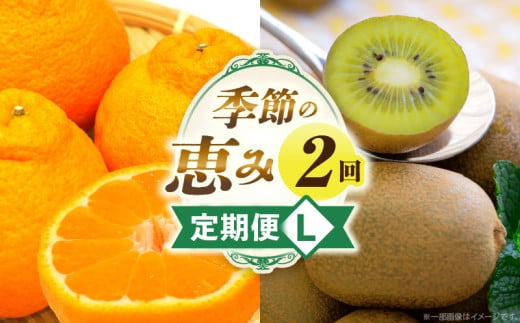 季節の恵み2回定期便L_mk165-t012 2061547 - 香川県三木町