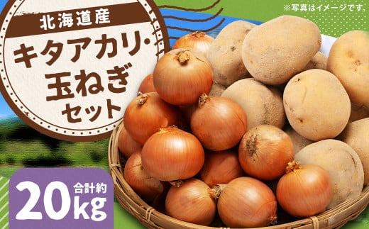 じゃがいも キタアカリ Lサイズ 約10kg×1箱・玉ねぎ L大サイズ 約10kg×1箱 計約20kg （JA） ジャガイモ 芋 いも イモ 玉葱 タマネギ たまねぎ 詰合せ 詰め合わせ セット 国産 【2025年11月上旬-12月下旬迄発送予定】 2068983 - 北海道京極町
