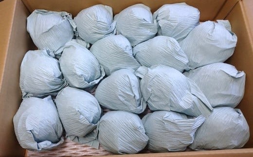 西洋梨(ラ・フランス)5.5kg ご家庭用 0142-2513 338610 - 山形県上山市