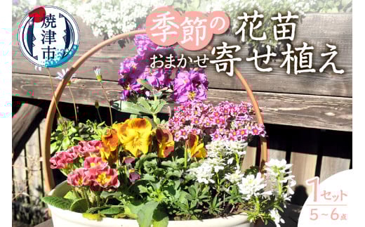 a10-1174　季節のおまかせ寄せ植えバスケット