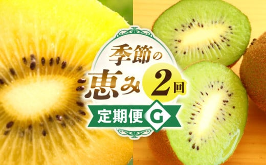 季節の恵み2回定期便G_mk165-t007 2061542 - 香川県三木町