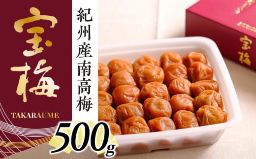 メディア掲載多数経験！紀州産南高梅 宝梅500g 761674 - 和歌山県和歌山市