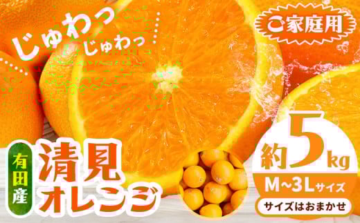 有田産 清見 オレンジ約 5kg(M〜3Lサイズおまかせ) 日高川町厳選館[2026年2月中旬-3月末頃より出荷予定]和歌山県 日高川町 柑橘 果物 フルーツ 清見オレンジ
