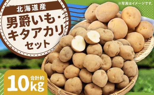 じゃがいも 男爵 キタアカリ  Lサイズ 各約5kg×1箱 計約10kg （JA） ジャガイモ 芋 いも イモ 食べ比べ 食べくらべ セット 国産 【2025年9月下旬-12月下旬迄発送予定】 2068677 - 北海道京極町
