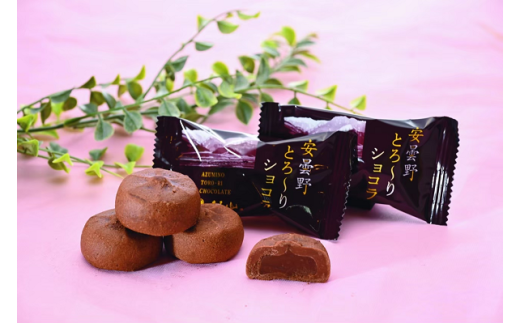 丸山菓子舗 安曇野バウム&とろ〜りショコラ