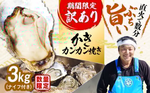 【生牡蠣】【訳あり】カンカン焼き（ナイフ付き）3kg 牡蠣 かき 魚介類 料理 簡単 江田島市/株式会社門林水産 [XAO041]