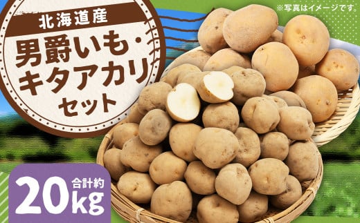 じゃがいも 男爵 キタアカリ  Lサイズ 各約10kg×1箱 計約20kg （JA） ジャガイモ 芋 いも イモ 食べ比べ 食べくらべ セット 国産 【2025年9月下旬-12月下旬迄発送予定】 2068676 - 北海道京極町