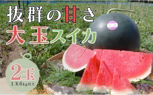 【高知県 大月町産】抜群の甘さ！ねばねばファームのスイカ　2玉