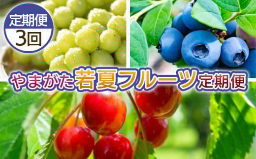 【定期便3回】やまがた 若夏のフルーツ定期便 FY25-048