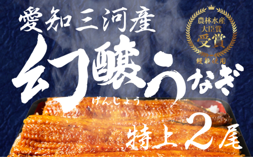 【土用の丑の日】愛知県三河産　幻醸うなぎ　蒲焼き 2尾 2115229 - 愛知県豊橋市