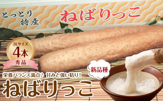 742.【JA】ねばりっこ 秀3L×4本 ※着日指定不可 ※離島への配送不可 ※順次発送予定 1519297 - 鳥取県北栄町