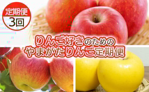 【定期便3回】りんご好きのためのやまがたりんご定期便 FY25-035