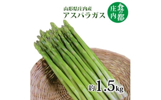 食の都庄内　庄内産アスパラガス　約1.5kg　※6月中旬頃より配送 2014303 - 山形県三川町