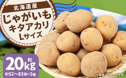 じゃがいも キタアカリ Lサイズ 約10kg×2箱 計約20kg （JA） ジャガイモ 芋 いも イモ 国産 【2025年9月下旬-12月下旬迄発送予定】 2068670 - 北海道京極町