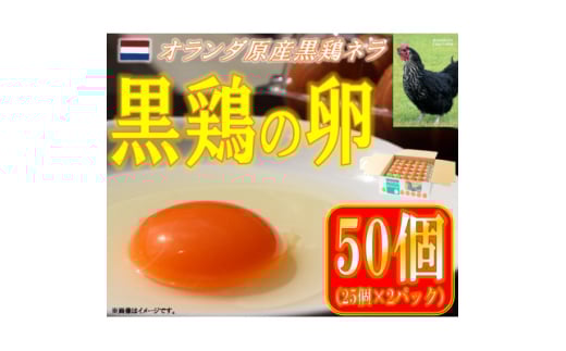 水野谷鶏卵店　黒鶏の卵　50個入り(Mサイズ)【1503069】 696078 - 福島県中島村