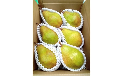 西洋梨(シルバーベル)3kg 贈答用 0142-2514 338611 - 山形県上山市
