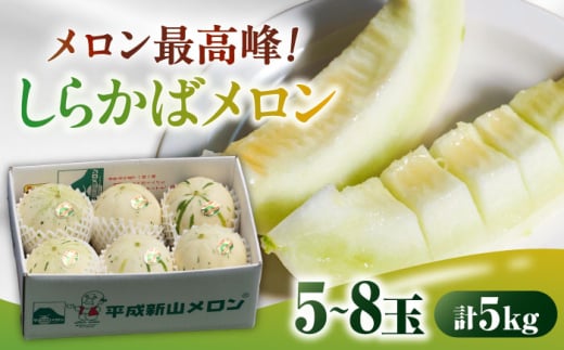 【2026年3月下旬～発送】しらかばメロン 5玉〜8玉 約5kg / メロン めろん 果物 フルーツ / 南島原市 / うえだメロン園 [SAD009]