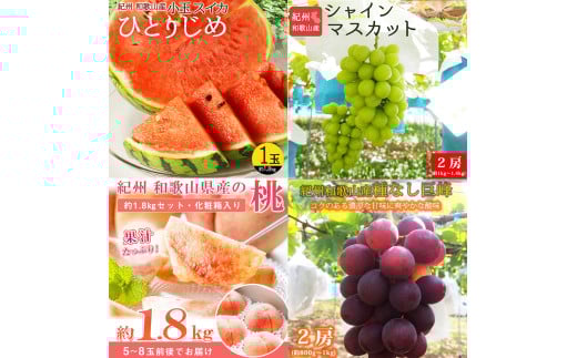 【全4回】紀州和歌山産旬のフルーツ定期便 (スイカ・桃・巨峰・シャインマスカット) / すいか スイカ もも 桃 白桃 巨峰 マスカット シャインマスカット 葡萄 ぶどう 果物 くだもの フルーツ フルーツ定期便 和歌山【tkb421】 2068648 - 和歌山県紀美野町