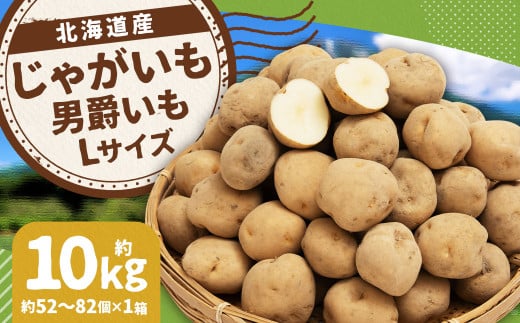 じゃがいも 男爵 Lサイズ 約10kg×1箱 計約10kg （JA） ジャガイモ 芋 いも イモ 国産 【2025年9月下旬-2026年2月下旬迄発送予定】 2068986 - 北海道京極町