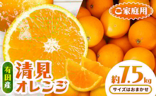 有田産 清見オレンジ ご家庭用 訳あり 約7.5kg サイズおまかせ 日高川町厳選館[2月上旬-3月末頃出荷]和歌山県 日高川町 柑橘 果物 フルーツ 清見 オレンジ 清見オレンジ 有田産
