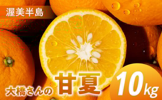 大橋農園の 甘夏 10kg 甘夏 あまなつ 柑橘 柑橘類 フルーツ 果物 旬 マーマレード マーマレードジャム ゼリー に 愛知県 田原市 渥美半島 2092626 - 愛知県田原市