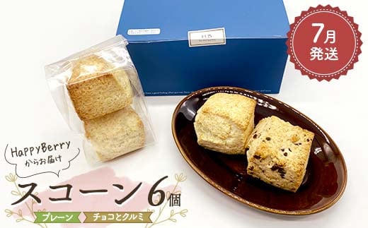 【2025年7月発送】人気店 HappyBerryのスコーン 6個（プレーン4個、チョコとクルミ2個） 焼菓子 スイーツ F6U-147