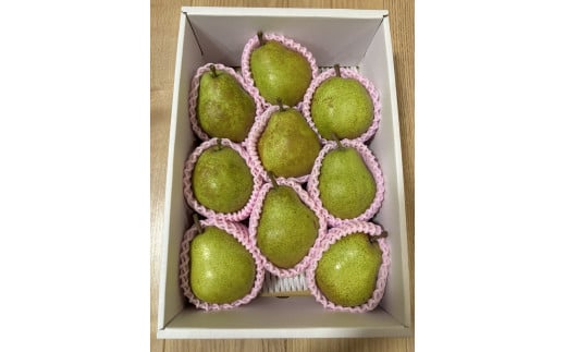 西洋梨(ラ・フランス)3kg 贈答用 0142-2510 338609 - 山形県上山市